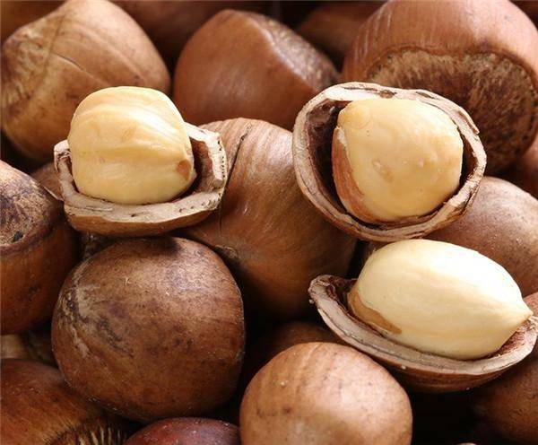 三千年华夏瑰宝 从“坚果之王”到冷门坚果的落寞转身
