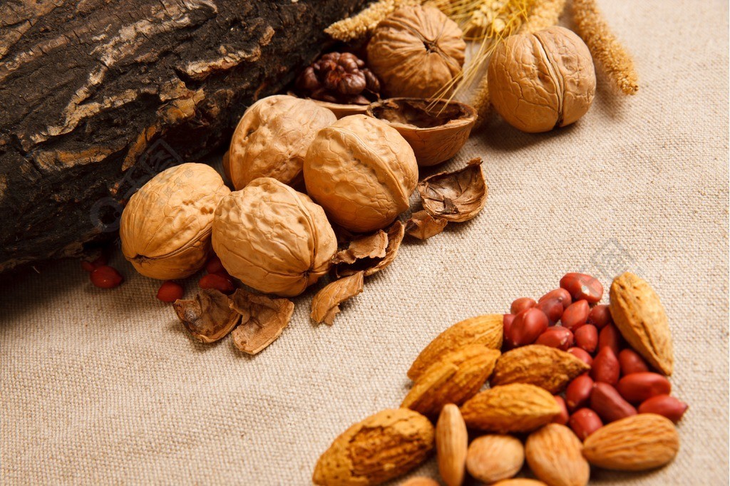 高清坚果世界 免费下载5616像素JPG实拍图集