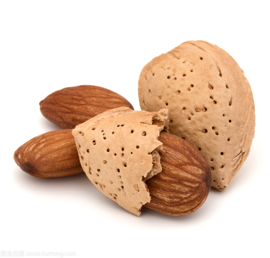 坚果的守护者 从杏仁看坚果壳与外壳的多重价值